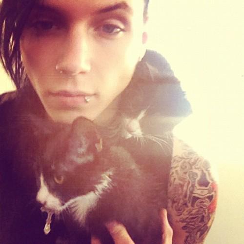 BVB565 tweet picture