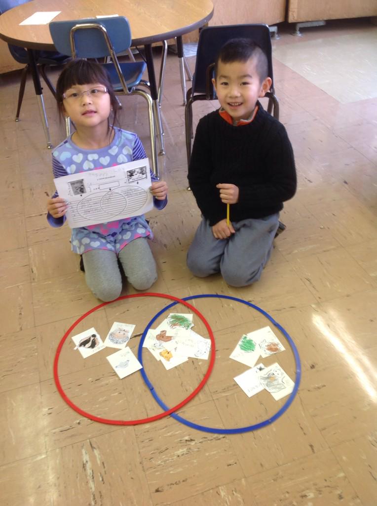 Lily and Jason are working on a venn diagram .