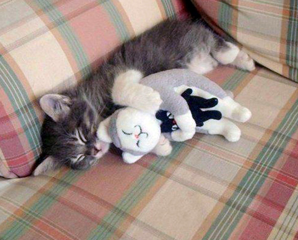 Hall_HelenB's tweet photo. #AWS google images has some little gems :) #hugs @HolmewoodHall #NationalHuggingDay http://t.co/fRrRhbjN9t