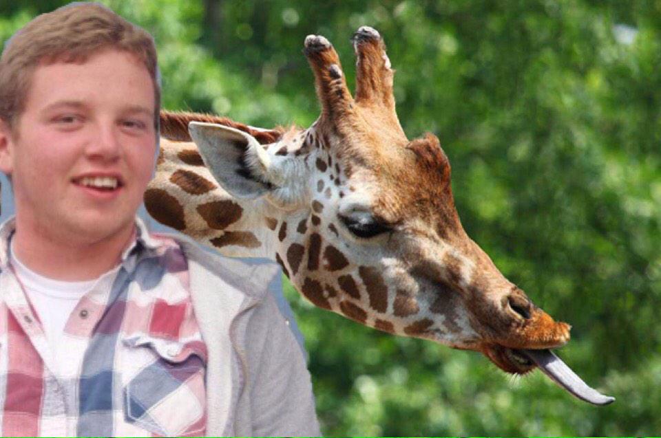 GiraffeGina's tweet photo. @tyy13r sorry you took to long to arrive at the zoo, but come again.😎 http://t.co/SbprCL3hHJ