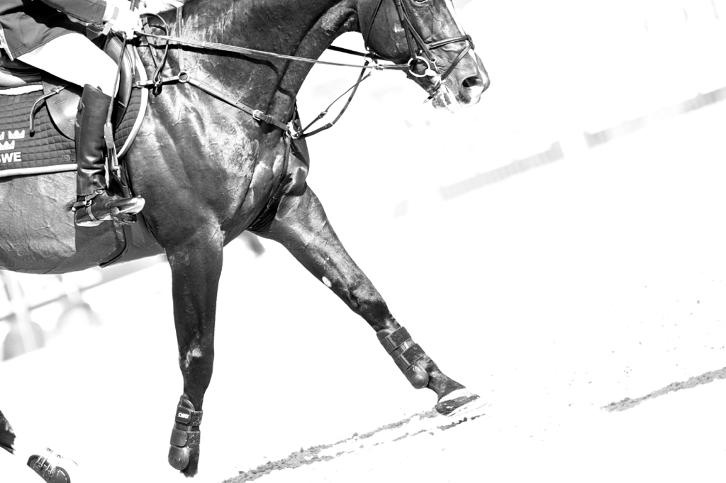Noelle_Floyd's tweet photo. Or what about this one? #BestMoments2014 #WEG2014 @GCT_events http://t.co/OS2NjPawEm