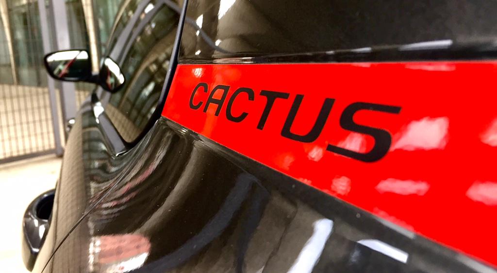 auto_app's tweet photo. Alla scoperta della #C4Cactus dotata dei famosi #AirBump! New #TestDrive, #DiscoverC4Cactus! #StayTuned & #AskAutoApp http://t.co/pcEG21hPLr