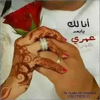 &(الفجر الجديد)& tweet media