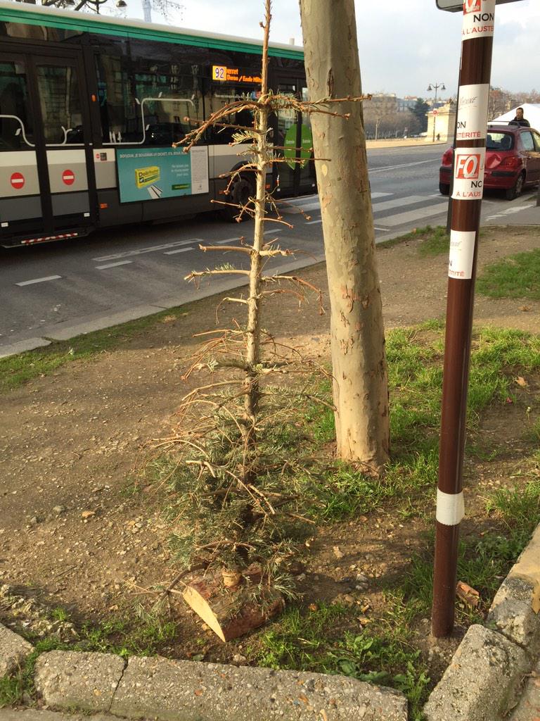 stoon's tweet image. 😔