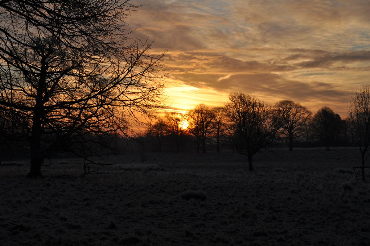 StephRose_01's tweet photo. @CharlecoteNT this morning.#NTreflections http://t.co/TQ7HyvBEdW