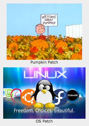 Linus and Linux: Courtesy of PX Eliezer