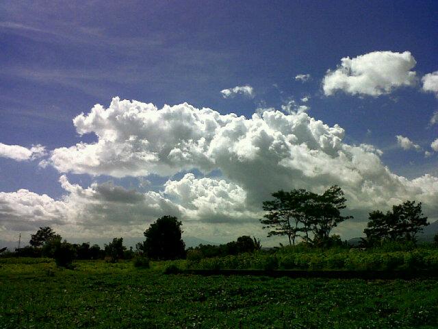 Bb gemini juga bisa ko! Silahkan dinikmati :)