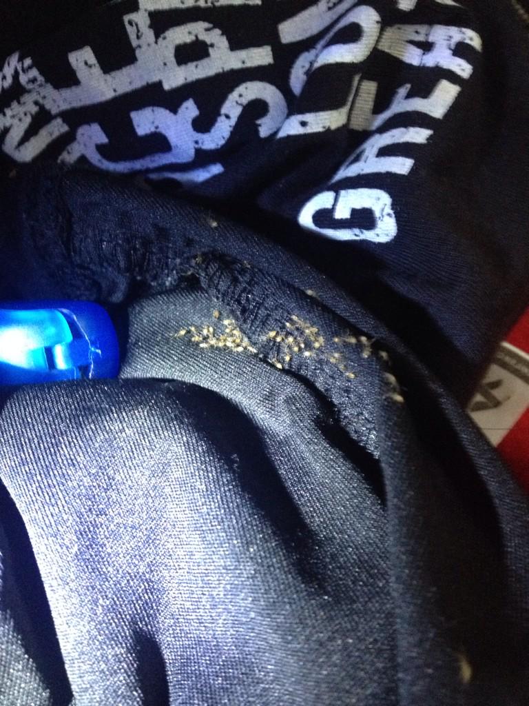 costarininos15's tweet photo. Meilleur réveil à vie!!! Le linge d'Alex et la caméra d'Audrey sont envahis de bébés araignées!!!! Wack!  😱😱😱 http://t.co/nsIxBHQQci