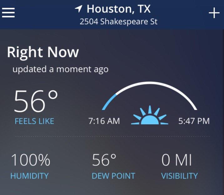 NatoliCannoli's tweet image. And suddenly I realize straightening my hair was a terrible mistake #Houstonproblems #holyhumidity