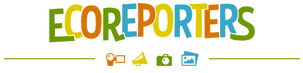 EcoKidsCanada's tweet photo. Our @sony_canada #EcoReporters contest winners will be featured on the EcoKids.ca website for everyone to see! http://t.co/UnmPAZhPf7