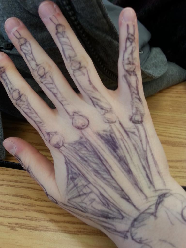 sadboyledegg's tweet image. there is a life size skeleton living inside of you right now #spookythoughts