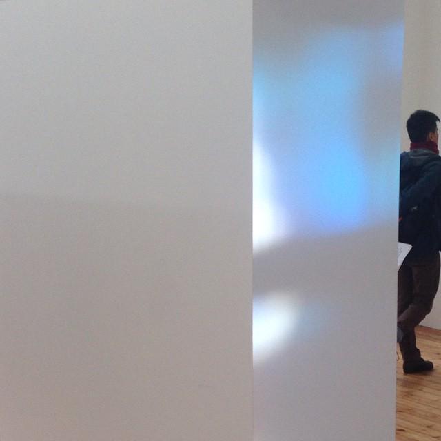 The neighbour's glazing #rodeogallery <a href="/ian/">ian</a>.law #kaleidoscopeinstagramresidency #instagramtakeover #ianlaw