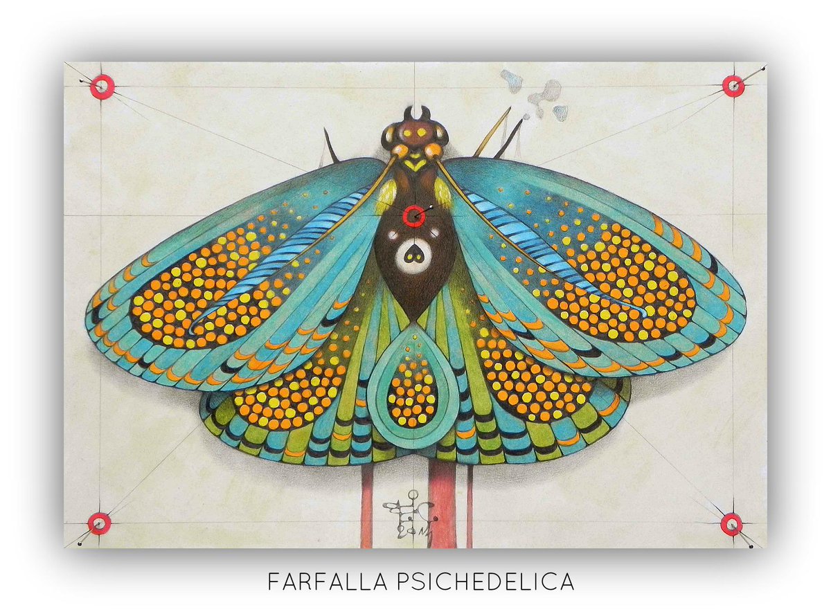 altamisiajaq's tweet photo. INTERESTING! RT @vivimaxia: StART_Up!
#ARS_CORTESE
PLEASE DO NOT KILL THE BUTTERFLY
http://t.co/W47rl4aCkU
http://t.co/eLpulb2MdT