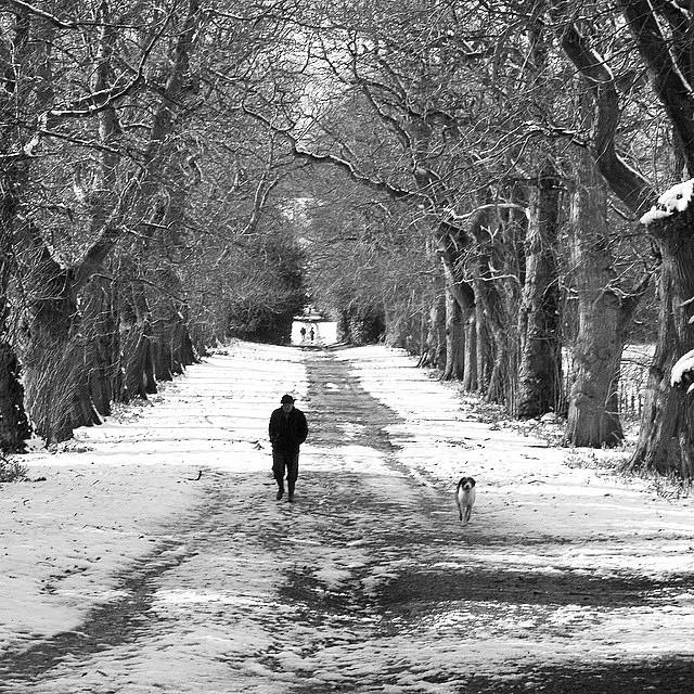 KeeleUniversity's tweet image. Sitting #exams this week? Read our policy on weather &amp;amp; travel disruption: keele.ac.uk/recordsandexam… Photo: Ellis Hughes