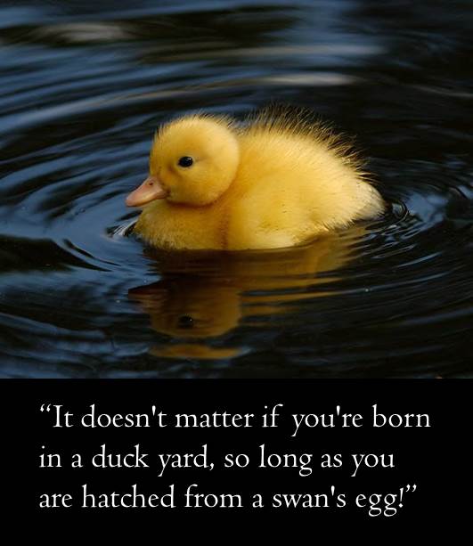 PenguinStacks's tweet photo. It’s #TriviaTuesday! Do you know which classic book this quotation is from? http://t.co/cgPVYZdVgv