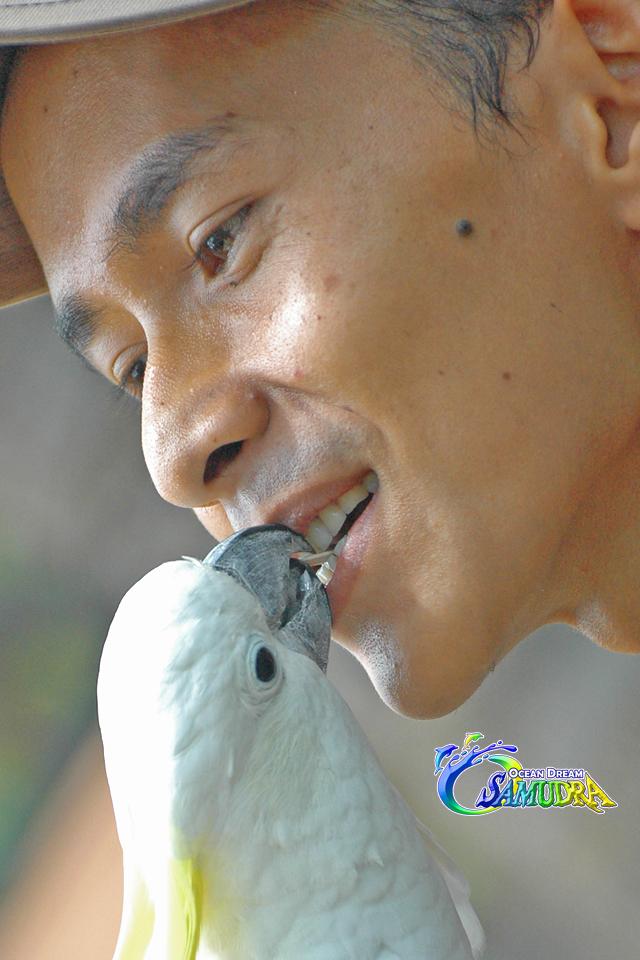 Tweeps, bersahabat dengan alam dan segala isinya itu mengasyikan loh #BanyakTahu #FunEducation #OceanDreamSamudra