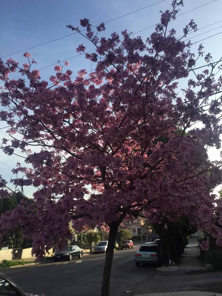 Joe Santa Maria tweet media