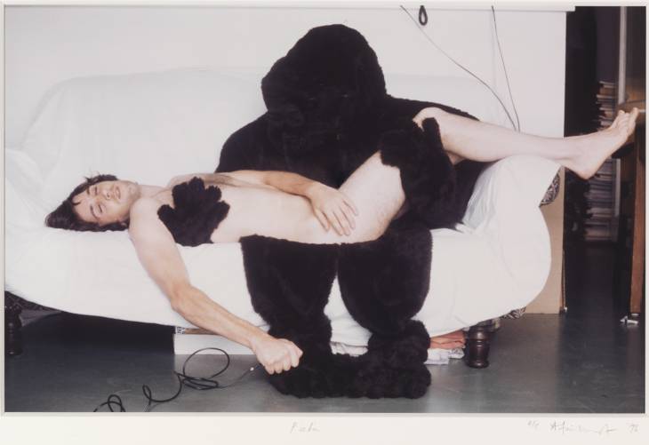 galgoycolibri's tweet photo. #Pietà first version, 1996 
© Angus Fairhurst
#gorilla #likeavirgin http://t.co/iOn1GrdQFA