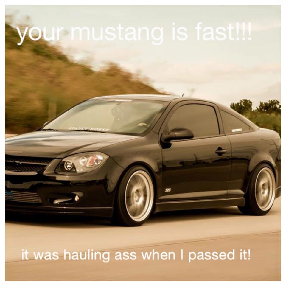 SSNation_'s tweet image. 