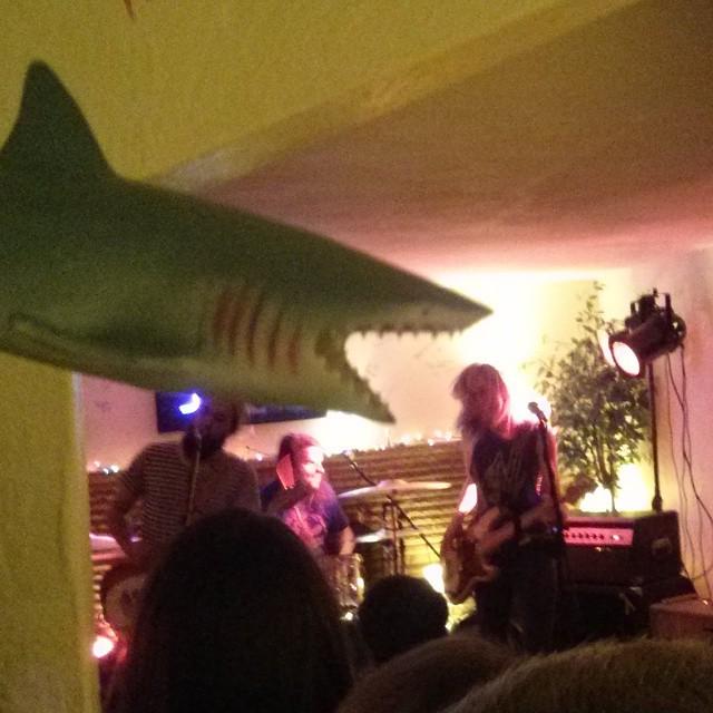 TeamTCAS's tweet photo. ANNIE LOOK OUT #ohgod #lookout #renegadeshark #realshark #sharks http://t.co/CL0csnzrlB