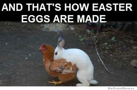 ObsideonQ2's tweet photo. @ritzy_jewels @BruhnRose @OnlyTheTruthNow @smidgerlad @glinsan1 vhat comes first? Chicken or the bunny?! #filthymood http://t.co/3RM2w6QY3Y