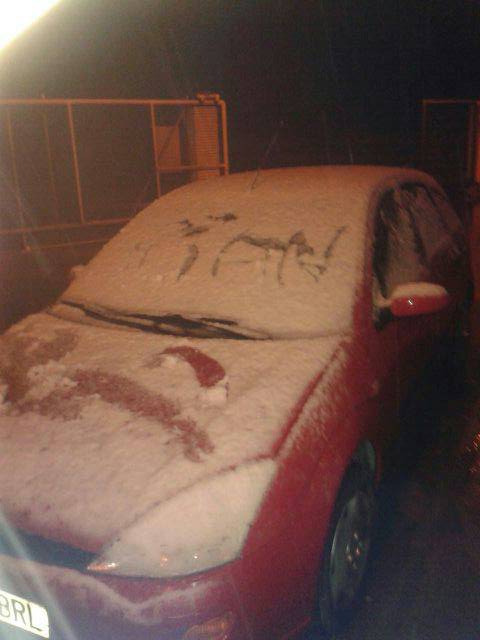 Y seguimos para bingo