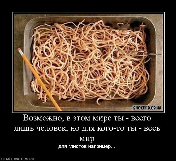 Шутки про глистов. Анекдот про глистов. Шутки про глистов. Анекдот про глистов.
