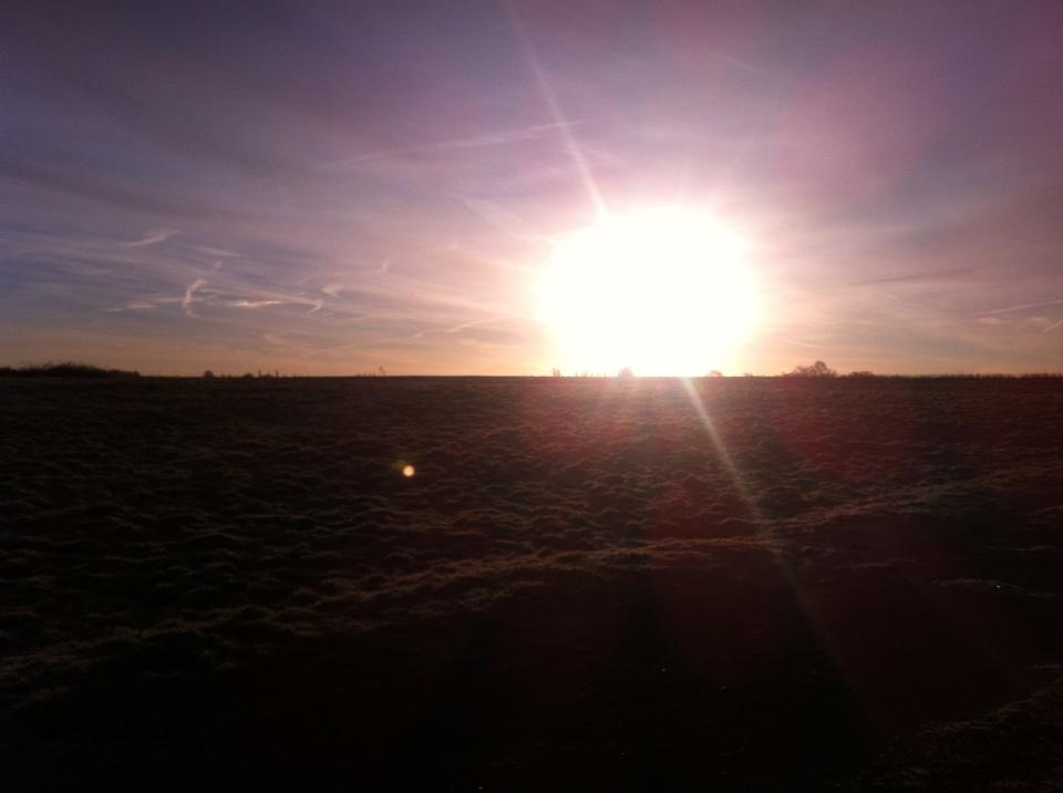 <a href="/WisleyActionGrp/">Wisley Action Group</a> <a href="/SParkerGGG/">Susan Parker</a> beautiful morning on Three Farms meadows this am chilly