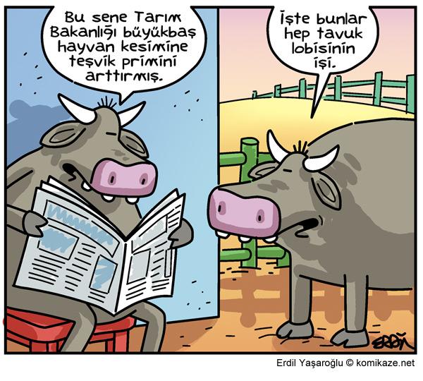 Tavuk Lobisi. (İyi haftalar :)