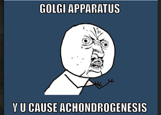 Nucleolus2015's tweet photo. #AHSOIC15 http://t.co/bIdy9Q2dfD