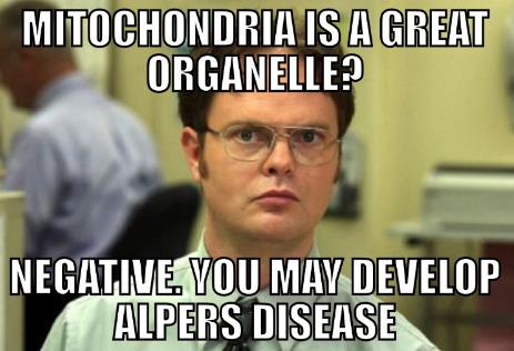 Nucleolus2015's tweet photo. #AHSOIC15 http://t.co/Kz9GQddAwu