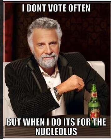 Nucleolus2015's tweet photo. #AHSOIC15 #votenucleolus2015 http://t.co/Dgnw2vnXxS