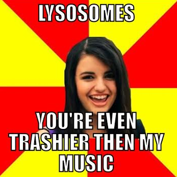 Nucleolus2015's tweet photo. #AHSOIC15 http://t.co/uMwOR7BKfz