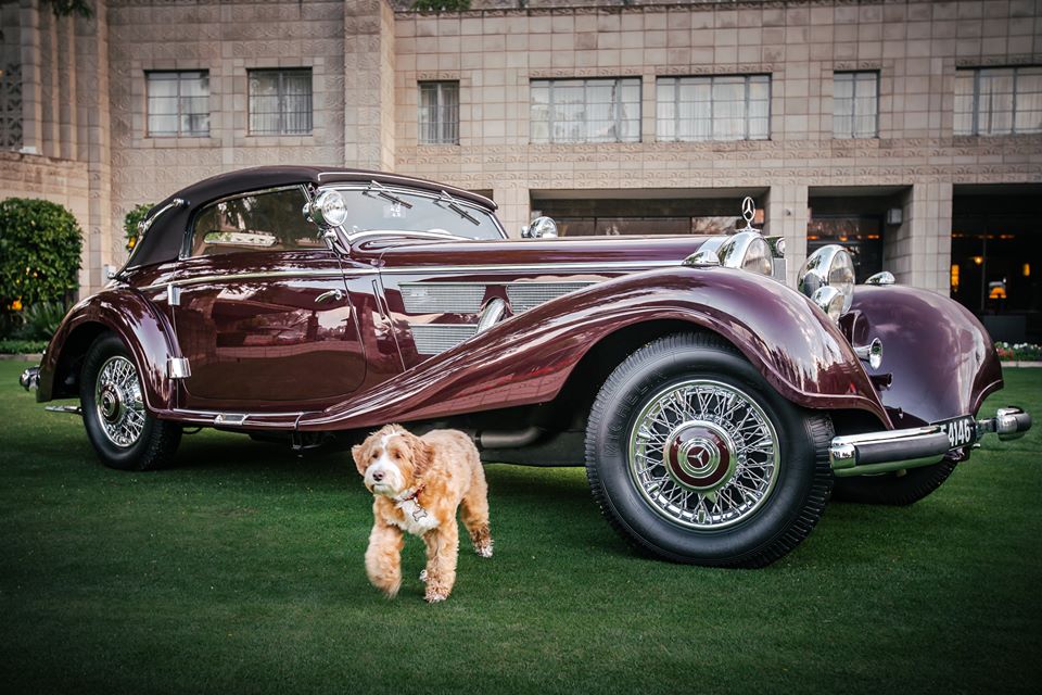 mercedes benz on twitter man can have more than one best friend