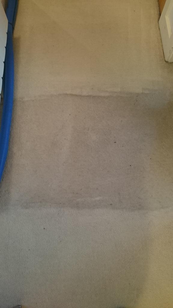 acgcleaningserv's tweet photo. Again the best results from my steamcleaning maschine on dirty dirty carpet 😀😀😀 http://t.co/a8VurkdR9e