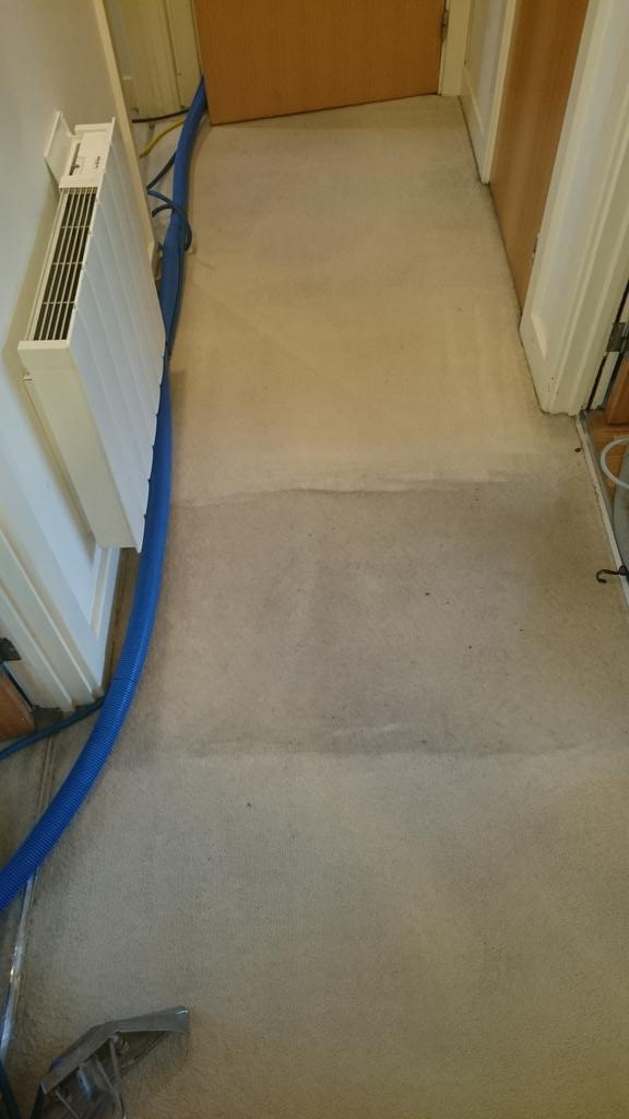 acgcleaningserv's tweet photo. Again the best results from my steamcleaning maschine on dirty dirty carpet 😀😀😀 http://t.co/a8VurkdR9e