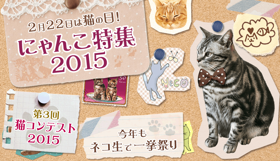 ニコニコ公式 夏休みは涼しいおうちでニコニコしよう にゃーにゃにゃにゃーごにゃー 訳 2月22日は猫 の日 ことしもにゃんこ特集15を開催します Http T Co 0ykmmv4dyu Http T Co Sifybf9woc ニコニコ公式 夏休みは涼しいおうちでニコニコしよう にゃーにゃにゃにゃーごにゃー 訳 2月22日は猫 の日 ことしもにゃんこ特集15を開催します Http T Co 0ykmmv4dyu Http T Co Sifybf9woc