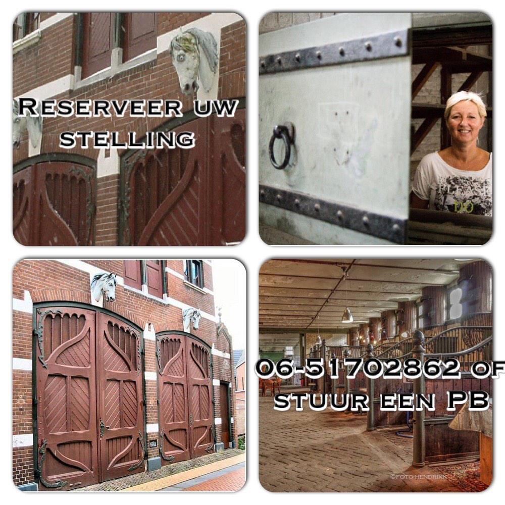 Spijkervet Stallen (@spijkervetstal) on Twitter photo 