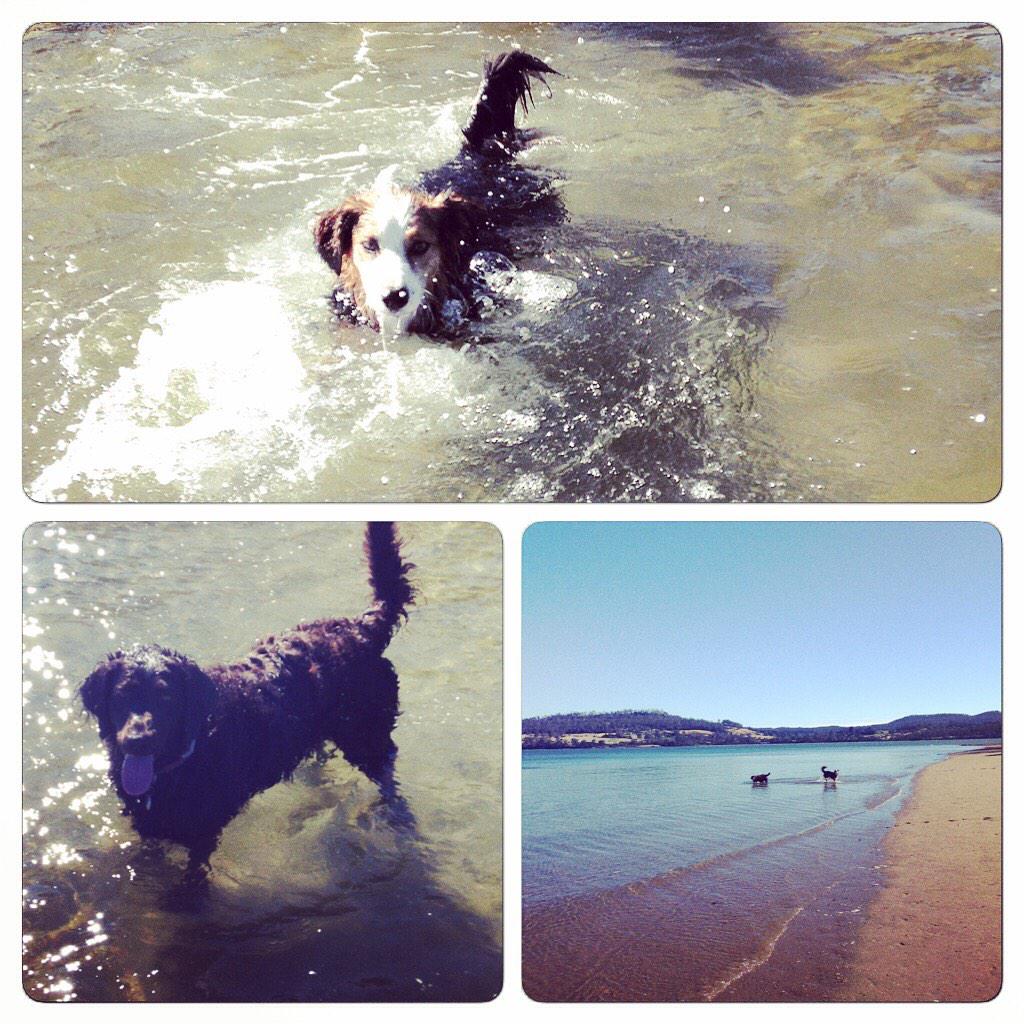 Yesterday's fun at paper beach. We can't wait to go again 👏🙌