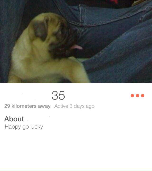 tinderfession's tweet photo. Happy go lucky. Lmfao http://t.co/1FqeBT78U7