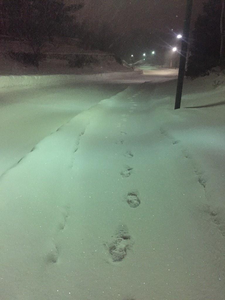 MarcusBarton's tweet photo. Roads closed? No problem. Run to the pool instead. No excuses. Stay fit. #Boston #EMerCion http://t.co/5kmYaYtFX5