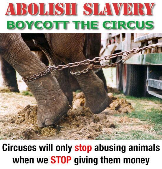 PROTECT ALL WILDLIFE (@protect_wldlife) on Twitter photo PLEASE SIGN & RT: MPs: Stop Blocking A New Law To Ban Wild Animals In Circuses! thepetitionsite.com/235/021/877/mp… <a href="/rickygervais/">Ricky Gervais</a> PLEASE SIGN & RT: MPs: Stop Blocking A New Law To Ban Wild Animals In Circuses! thepetitionsite.com/235/021/877/mp… <a href="/rickygervais/">Ricky Gervais</a>
