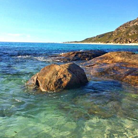 Ronnie T tweet media