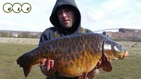 GoodLookingCarp's tweet photo. Glen Stones with a stunning fully......
#goodlookingcarp #glc #carplife #carp #carppics #carphunter http://t.co/RUaYSdiud1