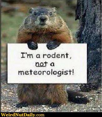 Nick Ulivieri tweet media