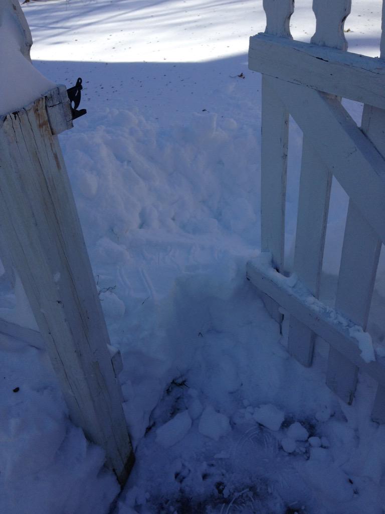 tdenise_popa's tweet image. My life right now #MichiganProblems