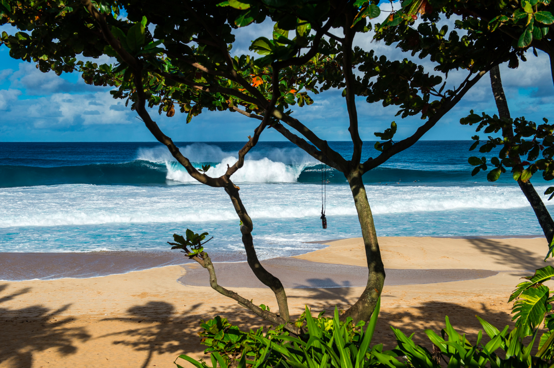 RedBull_Surfing's tweet photo. The final day of the #VolcomPipePro is go! Watch live on @RedBullTV here: http://t.co/gKxFD9GjJA http://t.co/c93kYzbGUE
