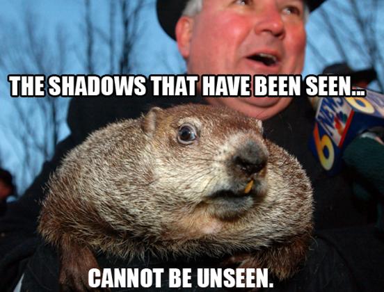 He saw his shadow! Six more weeks of winter!