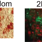 Photo by Nanofiber Solutions (@NanoSol)