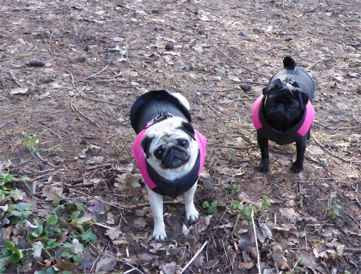 TinaMirley's tweet photo. Park Life :-) http://t.co/iAzv8ZDTu2